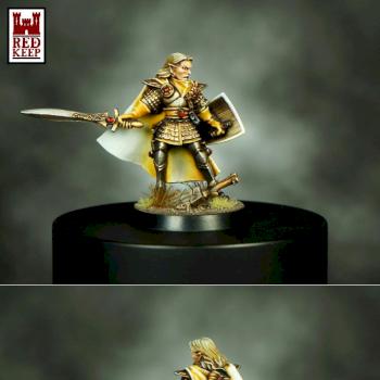 Selafyn - High Elf Hero by Hexer