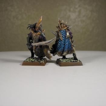 Dark Elf Corsairs by Sanper