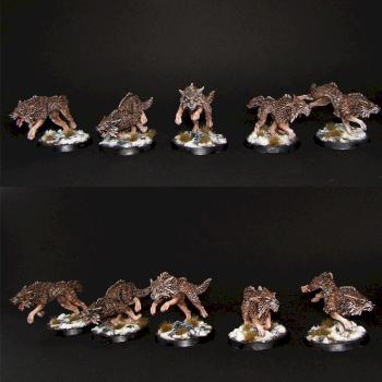 Space Wolves Fenrisian Wolf Pack by Sergey