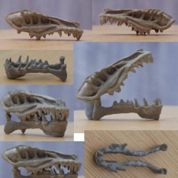 Dragon Skull by Caerban