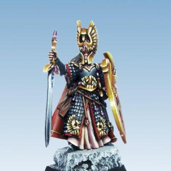 High Elf Lord or Hero by Rav wro