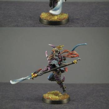 Dark Eldar Succubus by Ipaintyourstuff