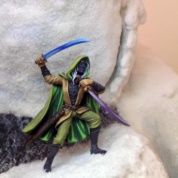 Male Dark Elf Warrior Dual Wield by D_Gran