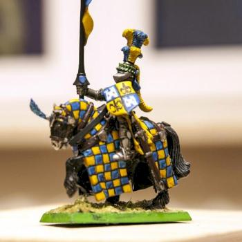 Tournee Knight, Bretonnia by Gopal