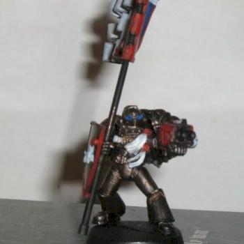A Grey Knight by bandiceet