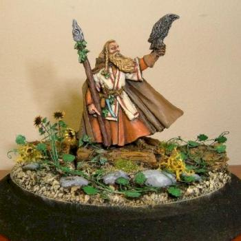 LOTR Radagast the Brown by theelfmaster