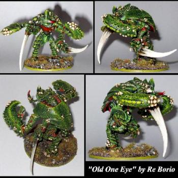 Old one eye by Re Borio