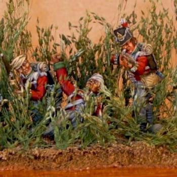 25mm Lincolnshires at Quatre Bras- Front Rank by hmslouie