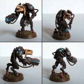 Xenos warrior by Ernie
