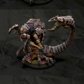 Aradus Sentinel by Jolly Roger Studio
