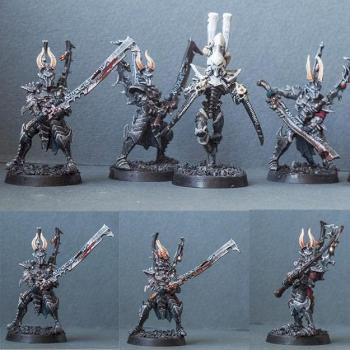 Dark Eldar Incubi by filipple
