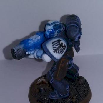 Raven guard by bluewind