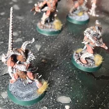 Preytakers - Warcry by Soxall