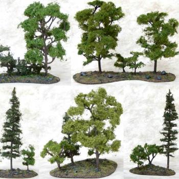 Instant Forest!  Just add water! by Temperance
