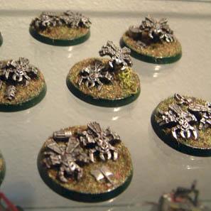 scarabs by huz