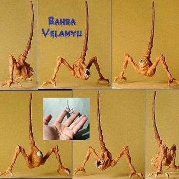 Bahba Velamyu by Patraw