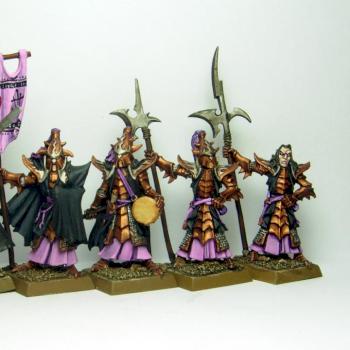 Dark Elf Black Guard Command by trueReed