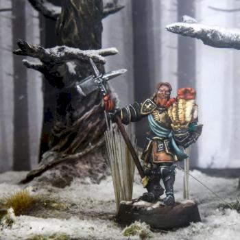 Reichguard Captain in the wood. by LastSword