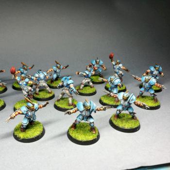 Reikland Raiders Blood Bowl Team by Michael_Wow