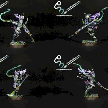 Dark Eldar Succubus by perfectminiaturecom