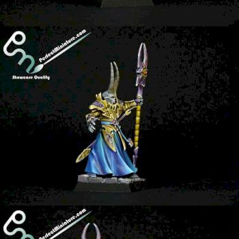 Slaves to Darkness Chaos Sorcerer Lord by perfectminiaturecom