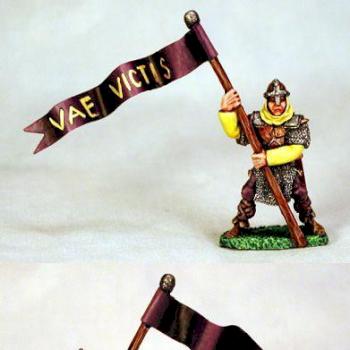 Captain's Guard Standard Bearer by venetta812