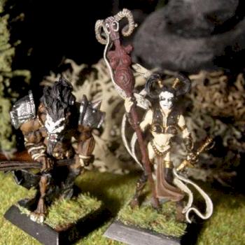 Guerrire Danu et Fianna by Witchking Malekith