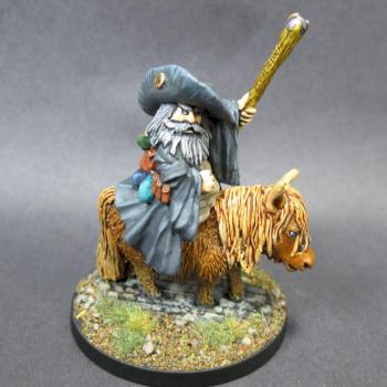 03806: Dwarf Battlemage on Pony by mikecarrero