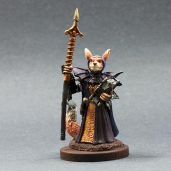 Dark Sword Female Fox Mage DSM8020 by superbug983