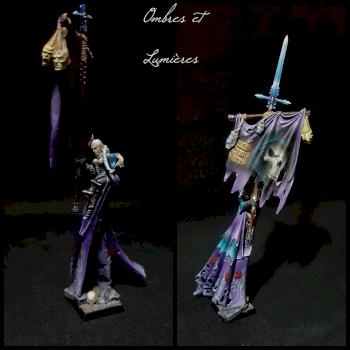Conversion Grande Bannière Comtes Vampires by Ahyia