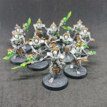 Necrons Lychguard by ekumania
