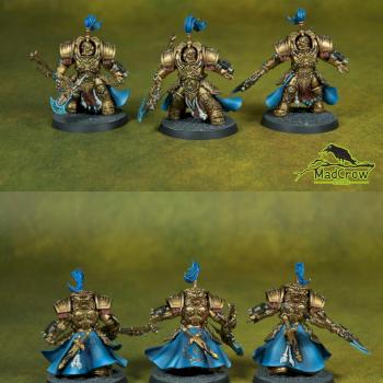 Allarus Custodians in blue by Mad Crow Studio
