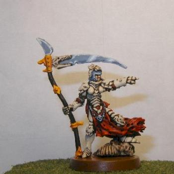 female warrior by nagrool