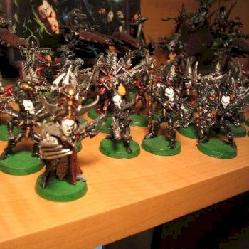 Lord and Incubi Retinue by wc45
