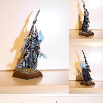 Dark Elv Black Guard with Honored Champ by Grimgorkwaaagh