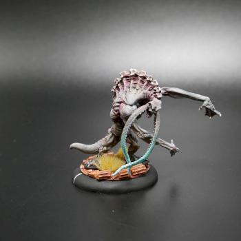 Hordes Painted Minions Solo Thrullg A by w013ejb