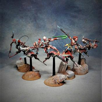Dark Eldar Hellions by awalker