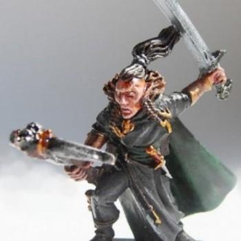 Dark elf Shade (better pictures) by Stix