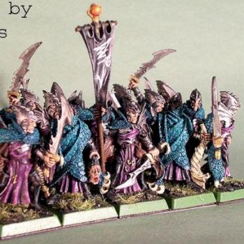 Dark Elves Corsairs by Siberius