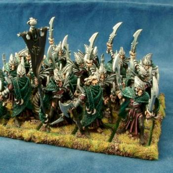 Dark Elf Corsairs Regiment by Dogstarminis