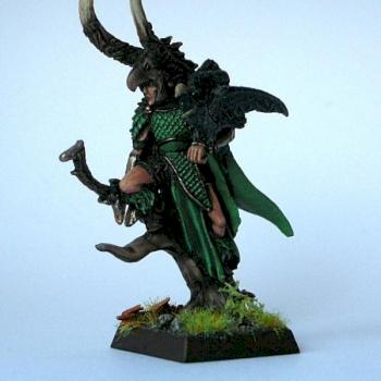 wood elf lord by theblacklord