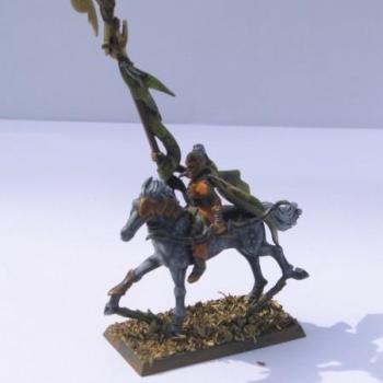 porte étendard elfe sylvain by Kassnain