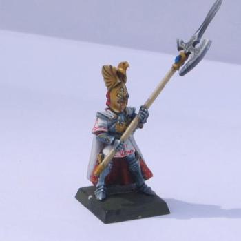 garde phénix haut elfe by Kassnain