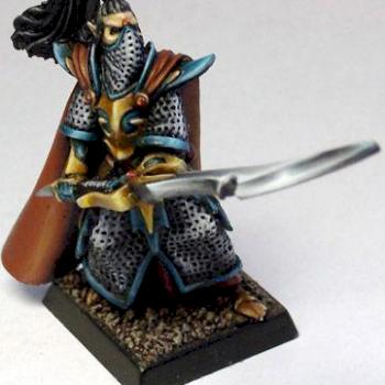 Dark elf executioner champion by Orange Ninja