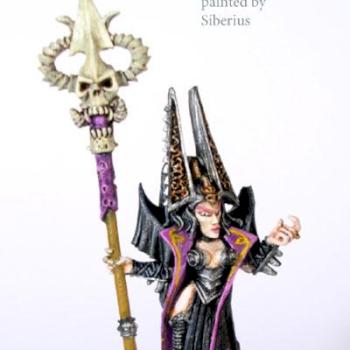 Dark Elve Sorceress by Siberius