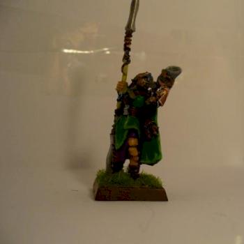 Wood Elf Eternal Guard Musician by Ahmato