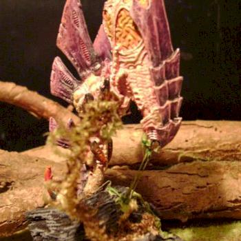 Zoanthrope Tyranide by Childerick