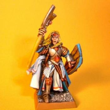 High Elf Hero by theelfmaster