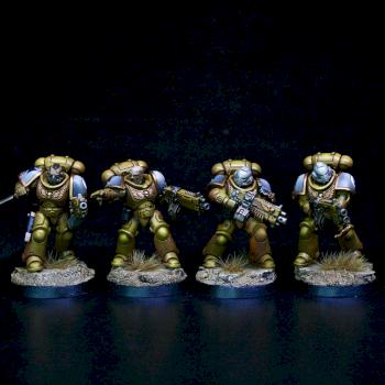 Primaris Imperial Fists Veteran Squad by goblet