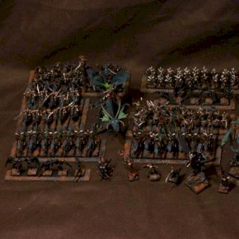 Dark Elves Army by Czopsquad
